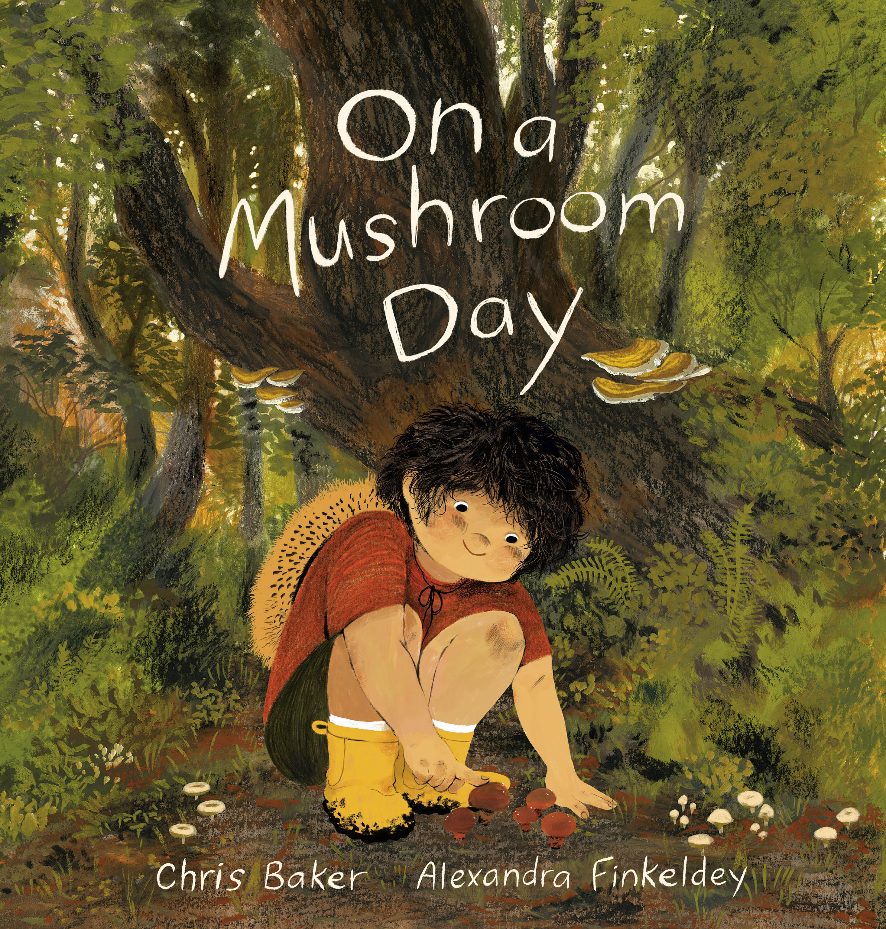 On a Mushroom Day book cover